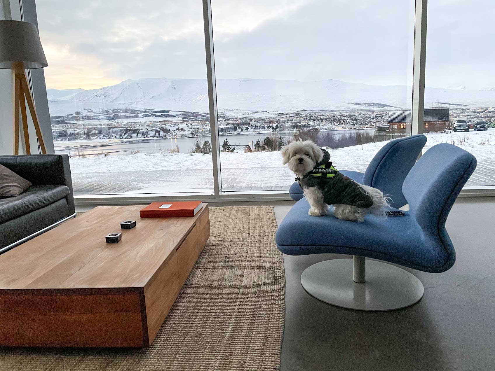 Oliver, admiring the view from an Airbnb in Akureyri.
